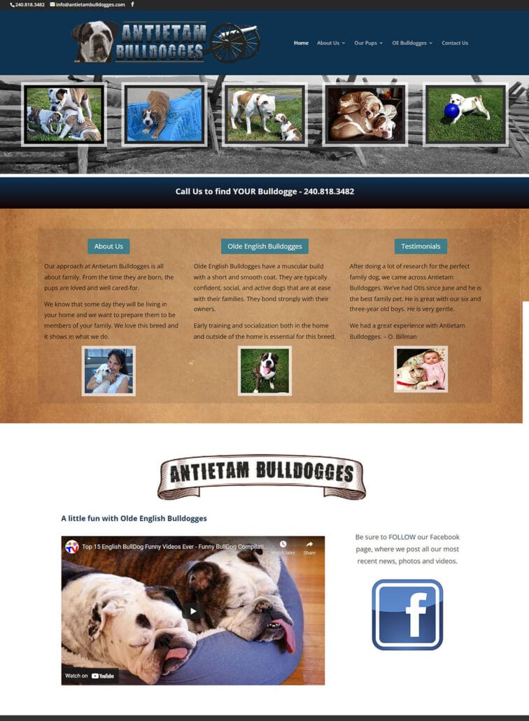 antietam Bulldogges homepage screenshot